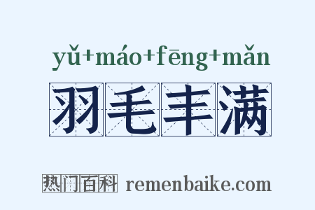 羽毛丰满是什么意思的图片